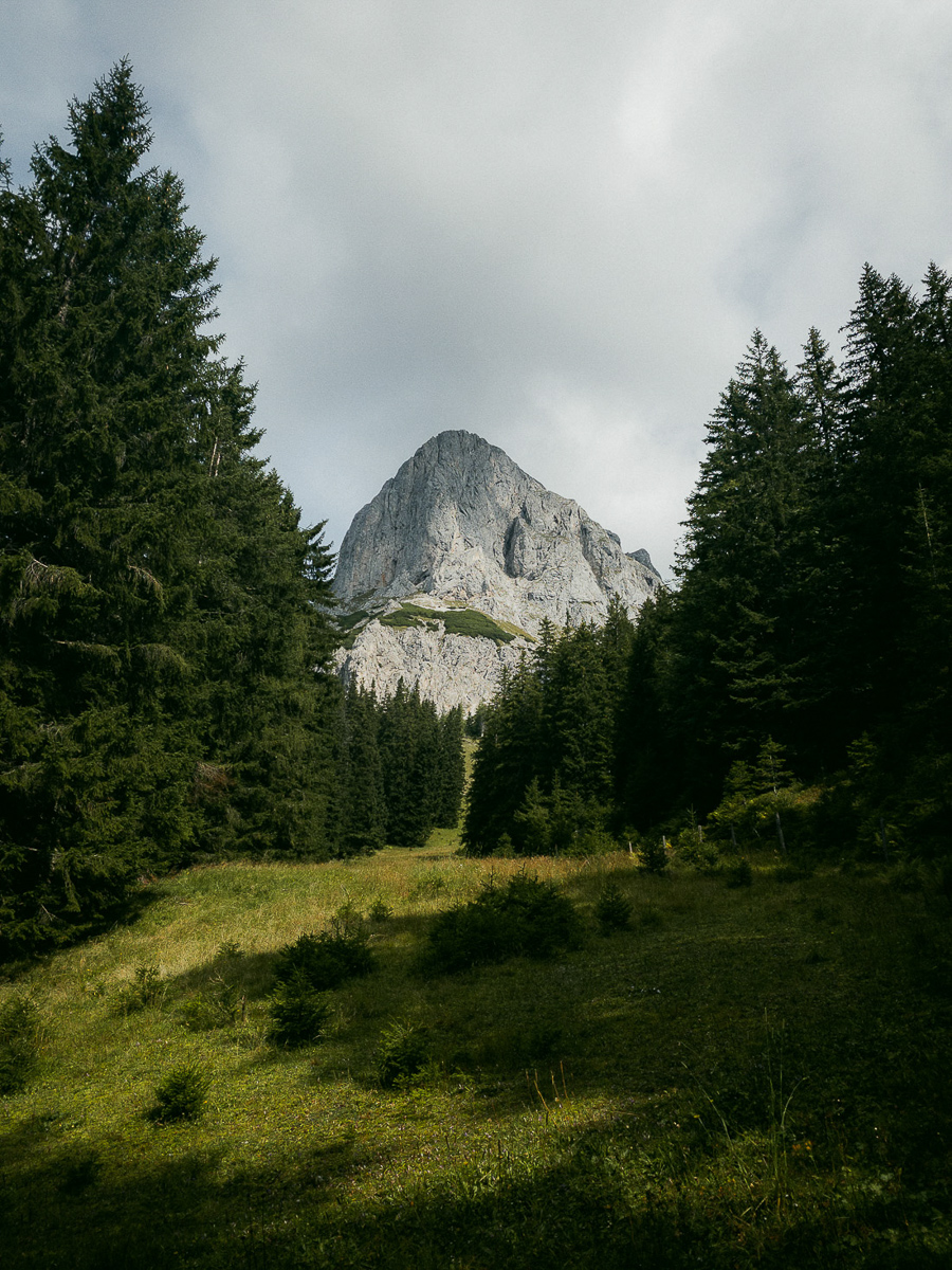 Nationalpark Gesäuse