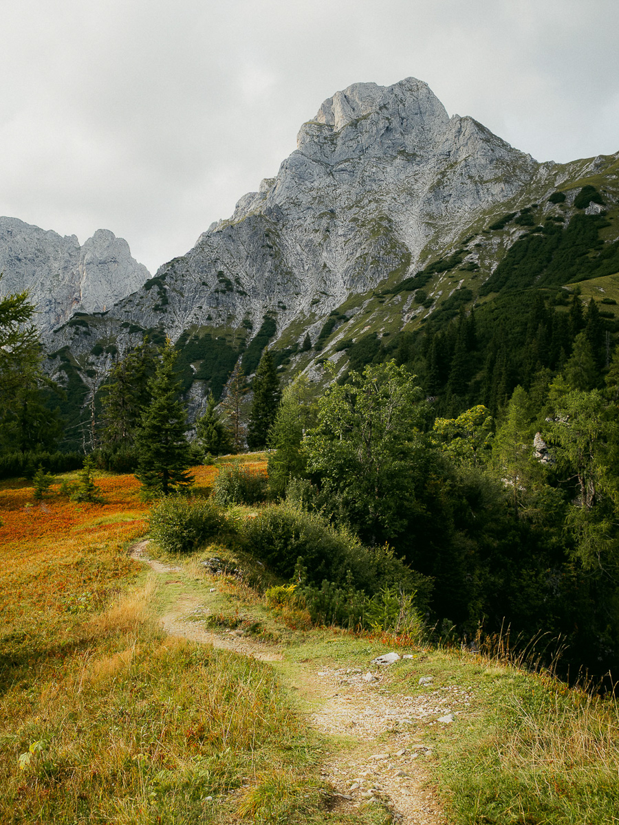 Nationalpark Gesäuse